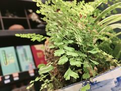 -福照楼汽锅鸡·云南菜(万达广场店)