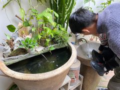 -茶米人台湾料理·精致快简餐