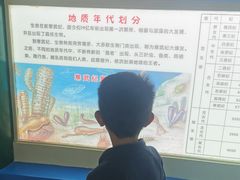 -上海昆虫博物馆