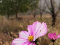 -静莲斋(仙人洞店)