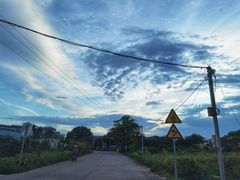 -大岗仙庙烧鸡(花东店)