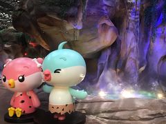 -杭州开元森泊度假乐园