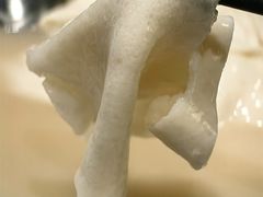 -芙蓉凰花园酒楼