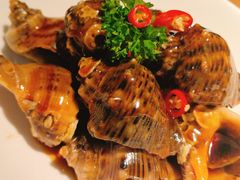 -波螺油子青岛本帮菜(银座店)