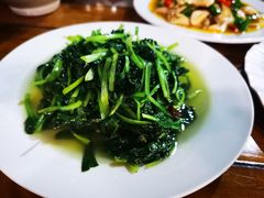 清炒牡丹菜-翕庐小苑