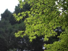 -陕西师范大学(雁塔校区)