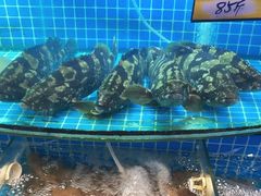 -望海潮海鲜店 特色家常菜(在海一方店)