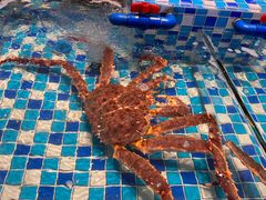 -映像威海·威海宴(威高广场店)