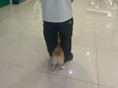 -海马体照相馆(成都来福士广场店)