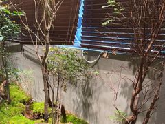 -森SPA·泰式按摩·精油Massage(宝安中心店)