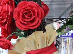 -溪岸路花鸟市场