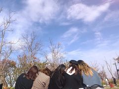 -春花秋色城市公园