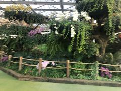 -兰陵国家农业公园