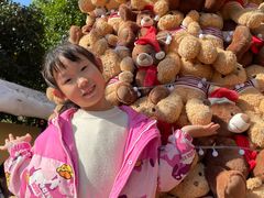 -HERRE·FARM 赫尔露营农场·团建聚会包场