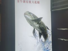 -南京金牛湖巨碗鱼头