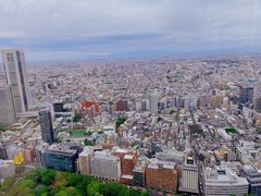 -东京都厅舍