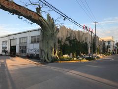 -龙大花卉苗木市场