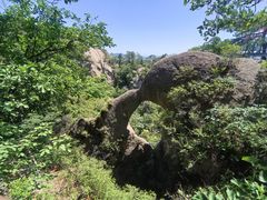 -六里坪国家森林公园