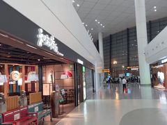 -郑州新郑国际机场-T2航站楼