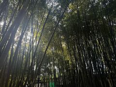 -包公祠