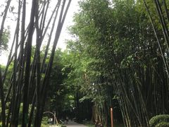 -望江楼公园