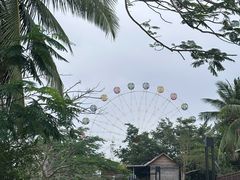 -万绿园