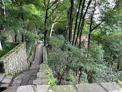 -莫干山风景区