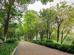 景点-怡海公园(桂城街道)