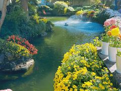 -杭州植物园