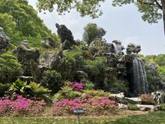 -上海鲜花港