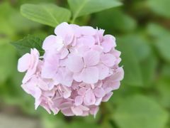 -上海滨江森林公园