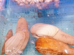 -阿伟海鲜楼·福建菜(延寿店)