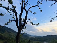 -塔川景区