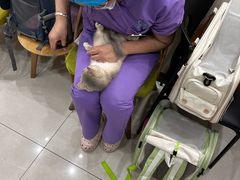 -北京观赏动物医院·24小时大型综合·猫专科·异宠专科