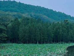 -云龙湖旅游景区