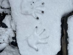 -叠溪松坪沟景区