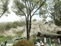 -幕燕滨江·长江观音景区