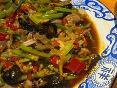 -青城甲(青城山店)