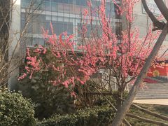 -石头先生的烤炉(济南领秀城贵和店)