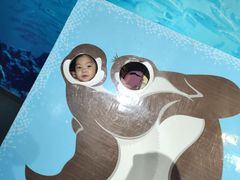 -泉城欧乐堡海洋极地世界