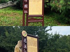 -北京西山国家森林公园