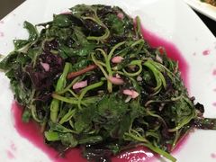 -姐妹食尚朴宿