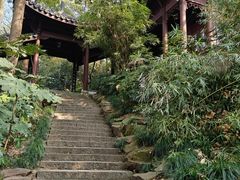 -西泠印社