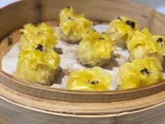 -点都德·毕德寮