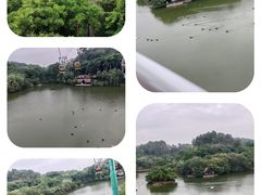 -广州长隆野生动物世界