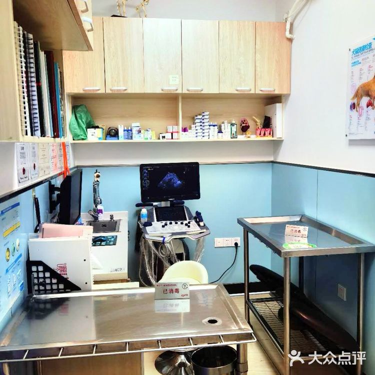 上海宠物医院推荐～为毛孩子寻找一家好口碑专业度高的医院