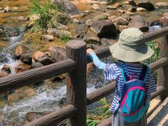 -广州白江湖森林公园