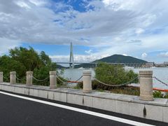 -芒洲湿地公园