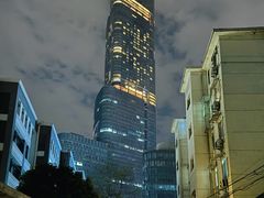 -紫峰大厦