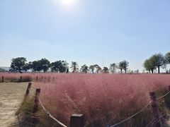 -汉长安城未央宫国家考古遗址公园